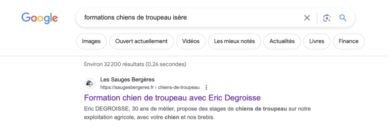 SEO WordPress